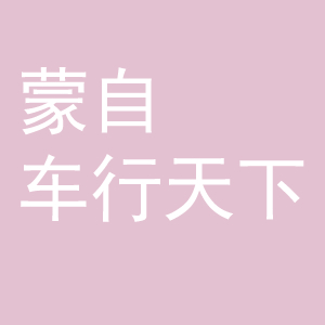 蒙自車行天下二手車交易市場(chǎng)有限公司的圖標(biāo)