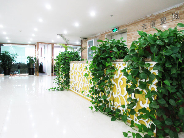 網(wǎng)站建設(shè)、網(wǎng)站制作的云南本土超規(guī)模網(wǎng)絡(luò)機(jī)構(gòu)-云南盈嵐科技有限公司